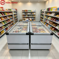 Congélateur coffre horizontal commercial à double porte grande capacité pour la conservation de la viande à usage domestique et en supermarché