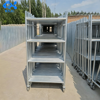 Échelle d'accès en acier galvanisé Q235 Q345 avec plateforme pour portes, échafaudages, construction, ponts et projets extérieurs