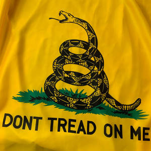 Promosi spanduk ular kuning kaki 3x5 tidak tapak pada saya bendera 3x5ft bendera Gadsden - Product Image 5