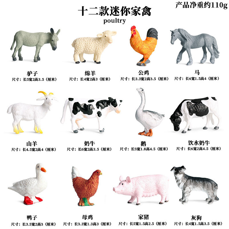 KZ Aves de Corral animal 12 [alrededor de 0.110kg]
