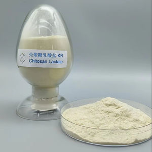 Fabbrica diretta solubile in acqua chitosano lattato Off-<span class=keywords><strong>white</strong></span> polvere KR con 90% purezza - Product Image 2
