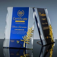 Plaques de cristal K9 transparentes faites à la main Plaques de carte de sport Belle boîte-cadeau Trophée de récompenses sablé haute qualité K9 cristal 2 couleurs