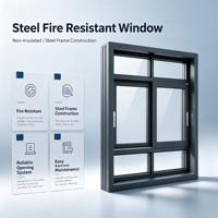 Fenêtre fixe en acier moderne non isolée, résistante au feu, certifiée FW60 BS476, verre ignifuge, apprêté, solution complète