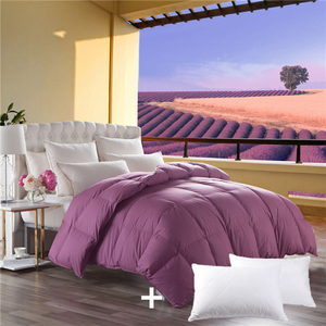 2025 grand Service de commande OEM Hangzhou Xiaosha couleur <span class=keywords><strong>plume</strong></span> et duvet couette couette couverture oreiller supplémentaire ensembles de literie solide coloré - Product Image 1