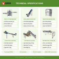 Ligne de prétraitement des anneaux d'oignon, machine à peler les oignons, éplucheuse de peau, machine à couper les racines d'oignon, ligne de traitement des légumes