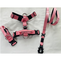 Harnais pour chien en nylon robuste de haute qualité, faible MOQ, boucle en métal à dégagement rapide, rembourrage doux, collier tactique pour chien, ensemble laisse et harnais
