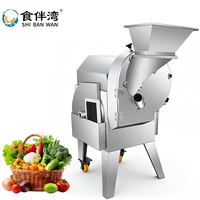 Groothandel Stille Motorische Enkelkopige RVS Groente- en Fruit Snijder/Schaafmachine 1500W voor Restaurant Klein
