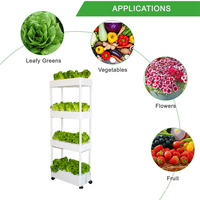 Système de jardin vertical de petit volume mais de grande capacité Hydroponique d'intérieur innovante pour la culture de fraises et plus encore à la maison