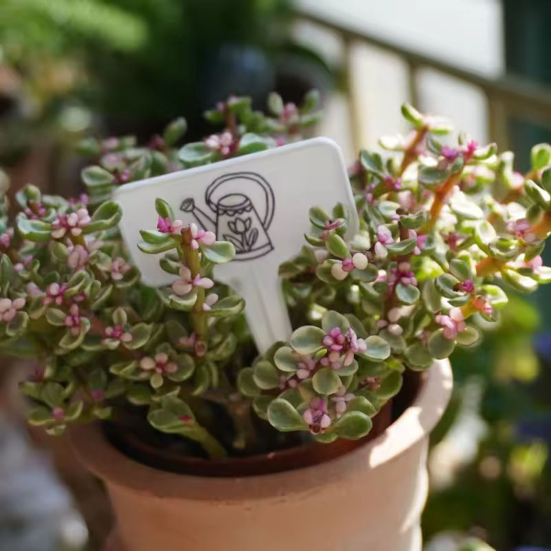 Custom T Type Plant Labels - Durable, Waterproof & Reusable
