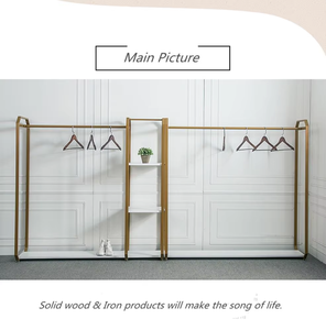 Simple Style <strong>Display</strong> <strong>Rack</strong> For Women's Clothing <strong>Display</strong> Stand Iron Design <strong>Display</strong> Showcase - Product Image 2