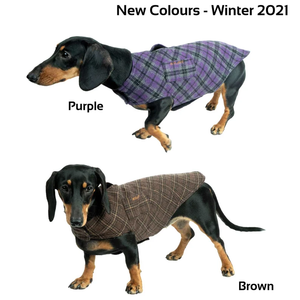 Qiqu Pet Supplies Custom New Designer Hunde mantel <span class=keywords><strong>Dackel</strong></span> <span class=keywords><strong>Mops</strong></span> jeder Hund Blei Befestigungs geschirr Loch gepolstert optional Fleece - Product Image 6