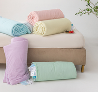Couette Rafraîchissante d'Été Effet Glacé Couleur Unie Fibre Rafraîchissante Climatisation Fine Lavable en Machine Moderne Minimaliste Vente en Gros
