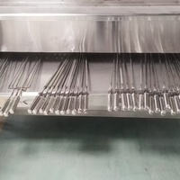 Nouvelle Conception de Rôtissoire à Poulet, Machine à Churrascos Brésiliens, Barbecue Extérieur, Machine à Griller le Poisson