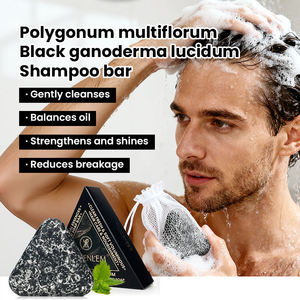 Greenlem POLYGONUM MULTIFLORUM BLACKGANODERMA LUCIDUM Shampooing Solide Réparateur pour Cheveux - Product Image 6