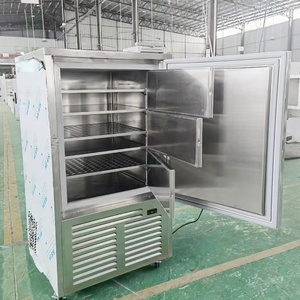 Refrigerador Vertical Comercial Profesional Automático para Cocina de Catering, Congelador Rápido para Pescado y Alimentos - Product Image 4
