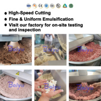 Machine à découper à grande vitesse Baiyu pour la transformation d'émulsions de viande de bœuf et de saucisses de Bologna