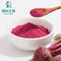 Ekstrak Akar Bit Merah Kering dengan Udara Panas Bersertifikat Halal, Jus Buah Herbal dalam Kemasan Drum, 100% Murni, Bubuk Bit Mentah dalam Kemasan Besar