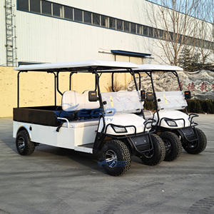 Carrito de Golf Eléctrico Personalizado de 2 Plazas con Motor de CA de 3/4/5KW y Batería de Litio para Turismo y Caza - Product Image 2