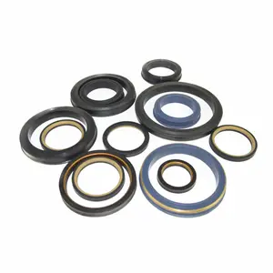 SHQN OEM China Manufacturer Made API Standard Hammer Union Seals Lip Seals stainless steel backed weco seal