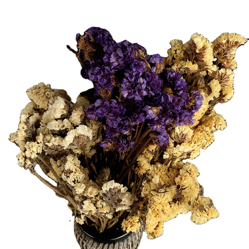2021 оптовая продажа сушеных цветов поставка с завода долговечные украшения оптовая продажа сушеных цветов