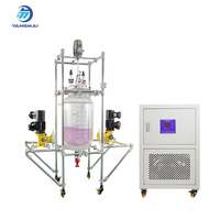 Reactor de Vidrio Encamisado de 100L a Escala Piloto para Síntesis Orgánica y Aplicaciones de Destilación en Laboratorio