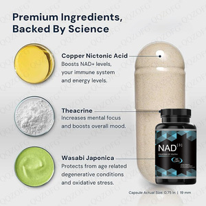 OEM NAD Nicotinamide Riboside Alternatif 60 Kapsul Vegetarian Ramah Vegan Suplemen Diet Anti Penuaan Pengaktif NRF2 - Product Image 3