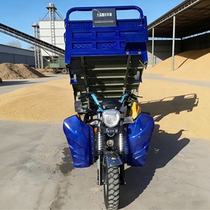 Tricycle motorisé à carrosserie ouverte, essence, pour marchandises et passagers, avec moteur >250cc, <span class=keywords><strong>3</strong></span> places, faible coût d'exploitation, <span class=keywords><strong>prix</strong></span> usine - Product Image 3