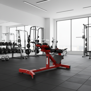 Banc d'extension dorsal pour <span class=keywords><strong>la</strong></span> salle de sport, équipement de fitness, utilisation à domicile, <span class=keywords><strong>chaise</strong></span> romaine - Product Image 2