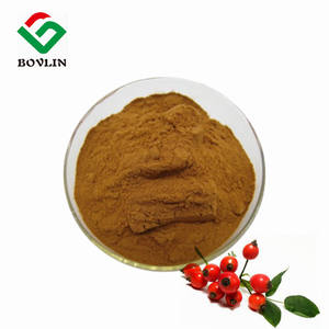 Granel Rosa Mosqueta Extrato Bohong Fornecimento Natural <span class=keywords><strong>Rose</strong></span> Hip Fruta Extrato Em Pó - Product Image 2