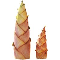 Sculpture d'extérieur artisanale en fibre de verre, lumineuse, en forme de légumes simulés (citrouille, pousses de bambou), pour cour, ferme et jardin