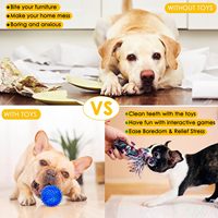 Site Web de vente en gros en ligne G, variété assortie de jouets pour chiens