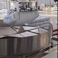 Nouveau robot de chargement/déchargement de sacs de grande capacité Ruisitong entièrement automatique, capacité de 50 kg, avec PLC et moteur, hauteur de superposition de 1,5 à 2 m