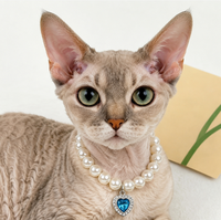 Collier pour chien réglable en plastique de luxe avec pendentif cœur, motif uni, accessoire de bijouterie élégant