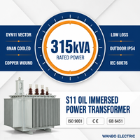 Wanbo-428 Wanbo S11 315kVA 3 Faz Yağlı Tip Güç Trafosu 10kV 0.4kV Dağıtım İçin