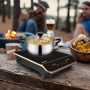 เตาเหนี่ยวนำพลังงานแสงอาทิตย์12V/24V/48V, AC/DC ไฮบริด, การทำอาหารอัจฉริยะ | รุ่น AI-79DC - Product Image 2