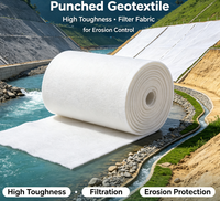 Géotextile spécial en polyester aiguilleté haute résistance pour le contrôle de l'érosion