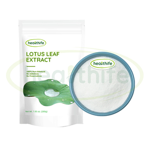 Порошок экстракта листьев лотоса от производителя FocusHerb <span class=keywords><strong>98</strong></span>% - Product Image 2