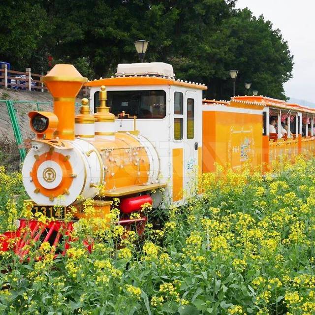 Electric Train Steel Track Garden Railway Amusement Theme Park Attraction for Commercial Use