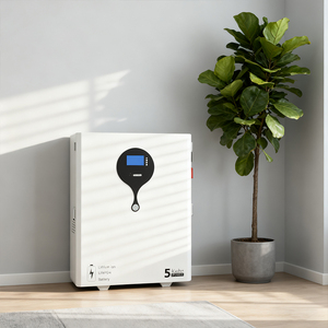 5KWH ลิเธียมไอออนติดผนัง15KWH 10KWH แบตเตอรี่เก็บพลังงานแสงอาทิตย์200Ah พลังงาน48โวลต์51.2โวลต์ - Product Image 1