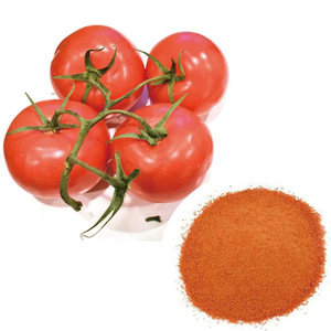 Extracto de hierbas de tomates de alta calidad, suplemento dietético de licopeno <span class=keywords><strong>en</strong></span> <span class=keywords><strong>polvo</strong></span>, potente nutriente para las personas - Product Image 5