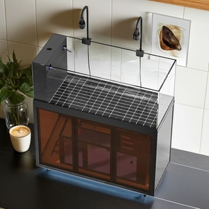 Stile industriale Open View Aquascape acquario lato Overflow serbatoio filtro a bassa manutenzione <span class=keywords><strong>fiume</strong></span> flusso ecosistema per i <span class=keywords><strong>pesci</strong></span> - Product Image 5