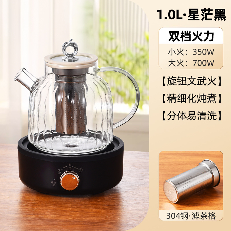 Filtre pour pot de santé à base noire (1L)