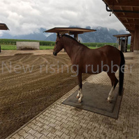 Matelas en caoutchouc imperméable neuf pour l'aménagement des boxes à chevaux, lit en mousse de caoutchouc pour l'écurie