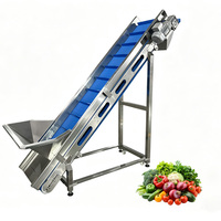 Automatisch hefplatform voor groenten en fruit van roestvrij staal 304, op maat gemaakte motor, hoge capaciteit (500-2000kg/uur) voor voedselverwerking