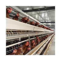 Matériel D'élevage De Volaille automatique Batterie Oeuf Couche Cage de Poulet pour Poules Pondeuses