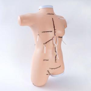 Modelo de Entrenamiento <span class=keywords><strong>en</strong></span> Sutura Quirúrgica y Aplicación de Vendajes - Simulador de Desbridamiento de Heridas <span class=keywords><strong>en</strong></span> Torso Femenino para Enfermería Médica - Product Image 3