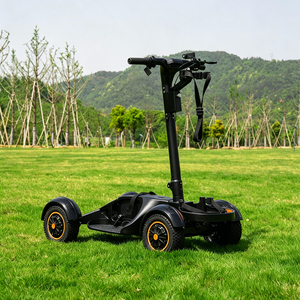 <span class=keywords><strong>Chariot</strong></span> de <span class=keywords><strong>golf</strong></span> électrique 2000W 48V LG20Ah Lithium 3 vitesses en aluminium, buggy de <span class=keywords><strong>golf</strong></span> autoporté OEM Chine - Product Image 5