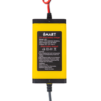 Chargeur de batterie au plomb-acide et au lithium pour moto 12V 2A avec charge rapide, entrée universelle 110-240V