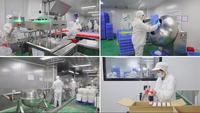 Polvo de N-Acetil-D-Glucosamina al 99%, Materia Prima de Grado Cosmético y Alimentario para el Cuidado de la Piel y la Formulación de Alimentos