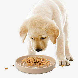 Personalizzabile lento alimentazione cane e <span class=keywords><strong>gatto</strong></span> piatto portatile ed elegante in Silicone piatti cena per animali domestici per <span class=keywords><strong>bere</strong></span> e mangiare cibo - Product Image 3